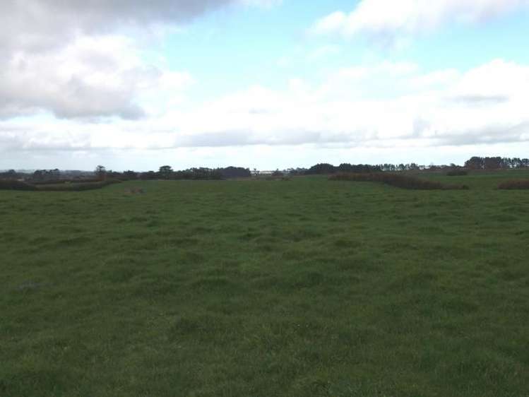 273 Opunake Road Cardiff_1