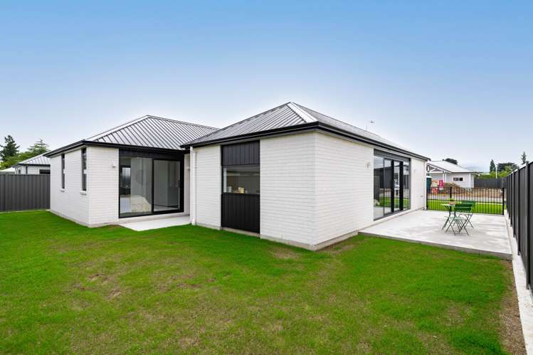 3 Nathan Lane Masterton_16