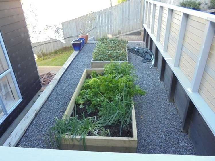 19 Hawaiian Parade Arkles Bay_21