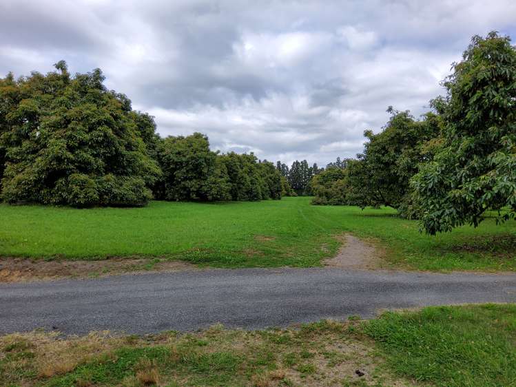 168 No 1 Road Te Puke_9