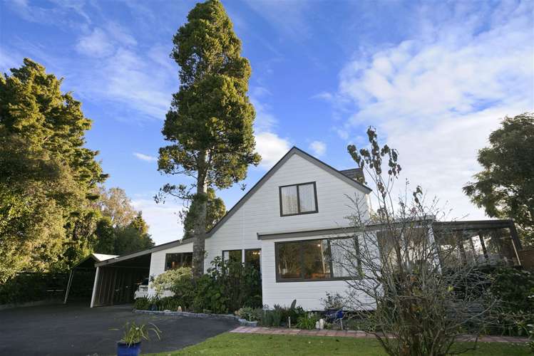 41 Cameron Road Te Puke_6