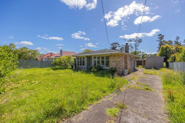 53 Wilsher Crescent Henderson_9