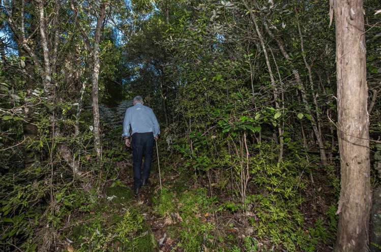 851 Wright Road Aongatete_18