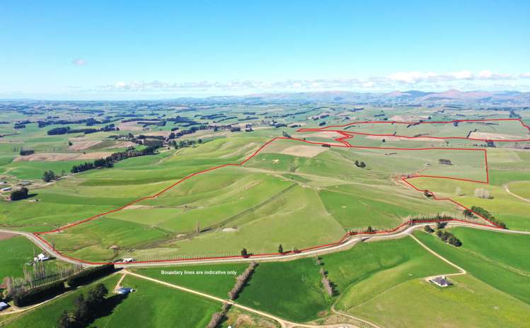 919 Miller Road Clinton and Surrounds_3