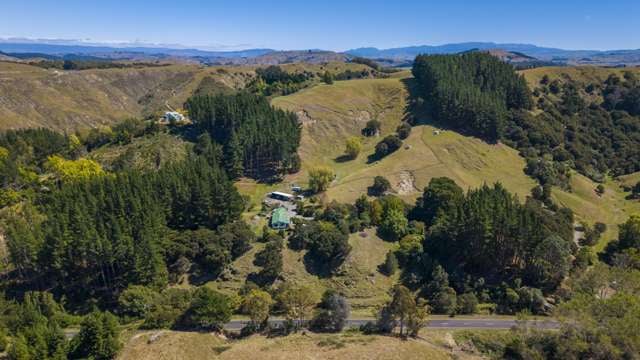 391 Apley Road Puketapu_2