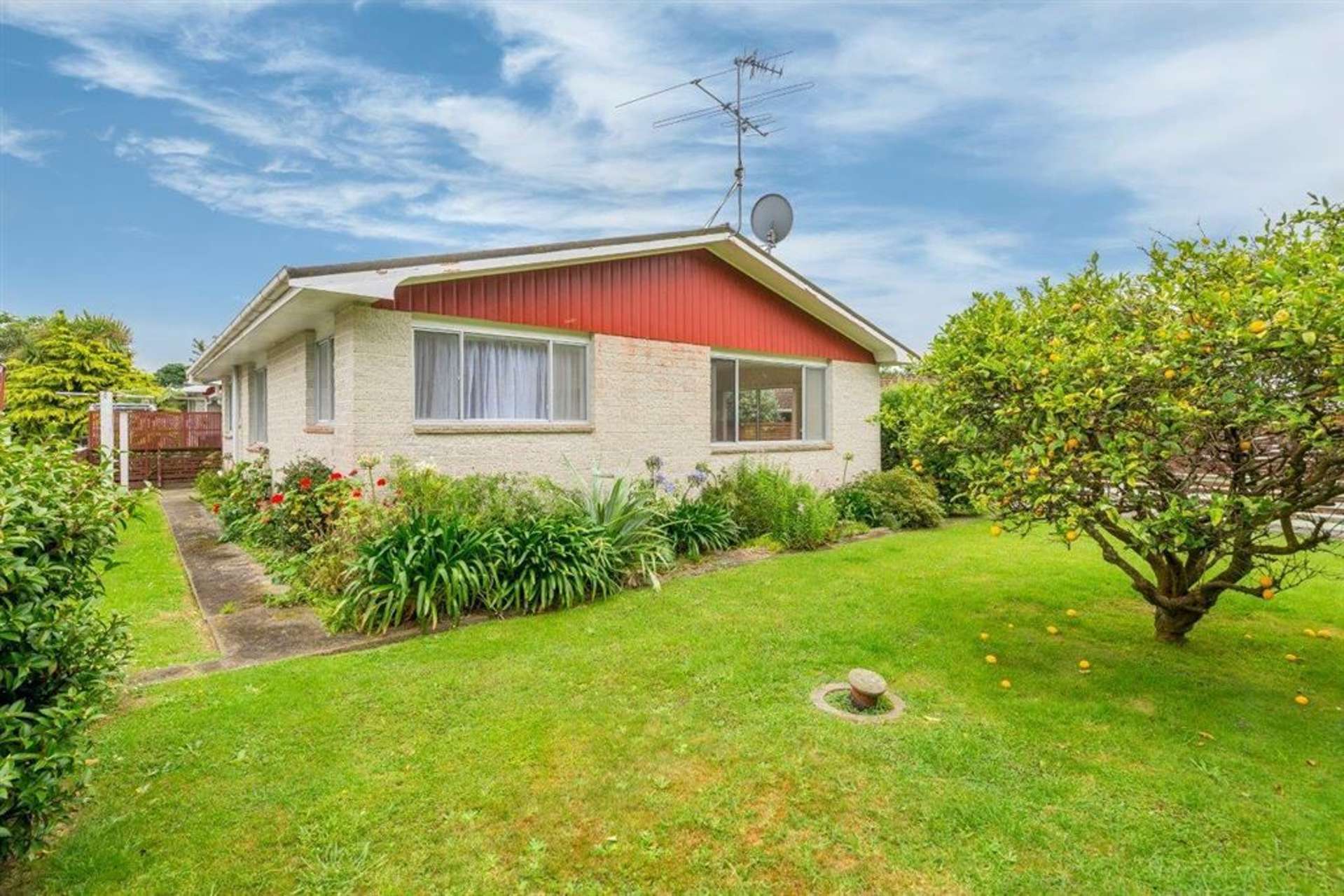 84 Elizabeth Street Waikanae_0