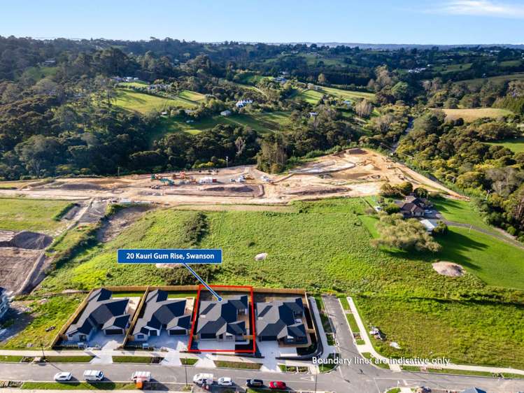 20 Kauri Gum Rise Swanson_28