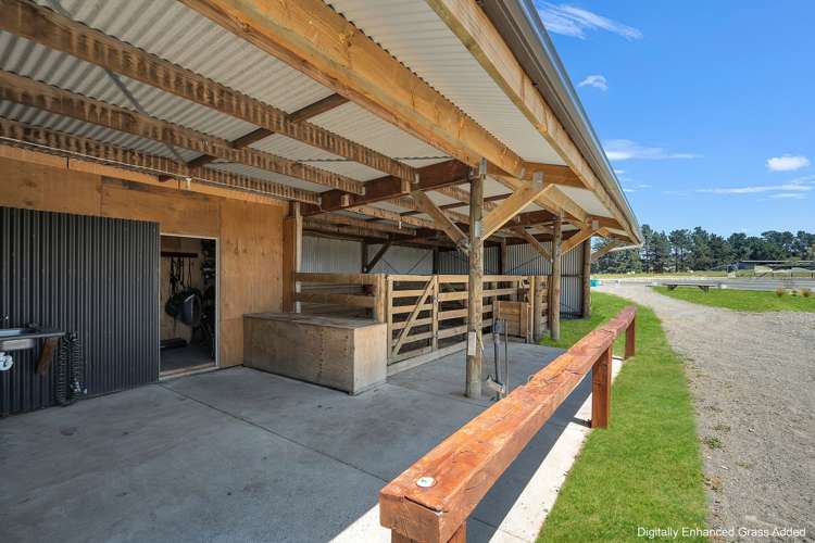 95 McLeods Road Sefton_16