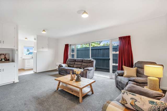 41 Sealy Street Ashburton_4