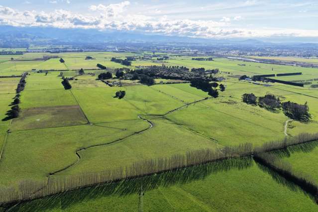 326 Cornwall Road East Taratahi_2
