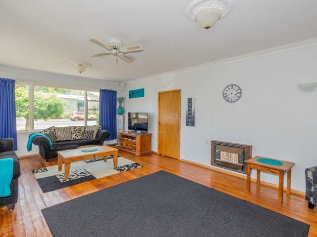 11 Chester Street Levin_2