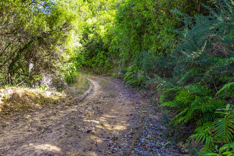 Ngahape Road Masterton_12