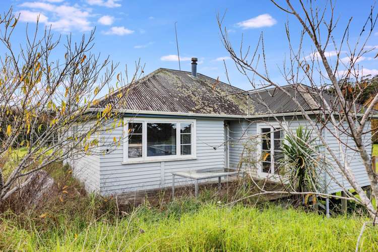 444 Brown Road Kaiwaka_5