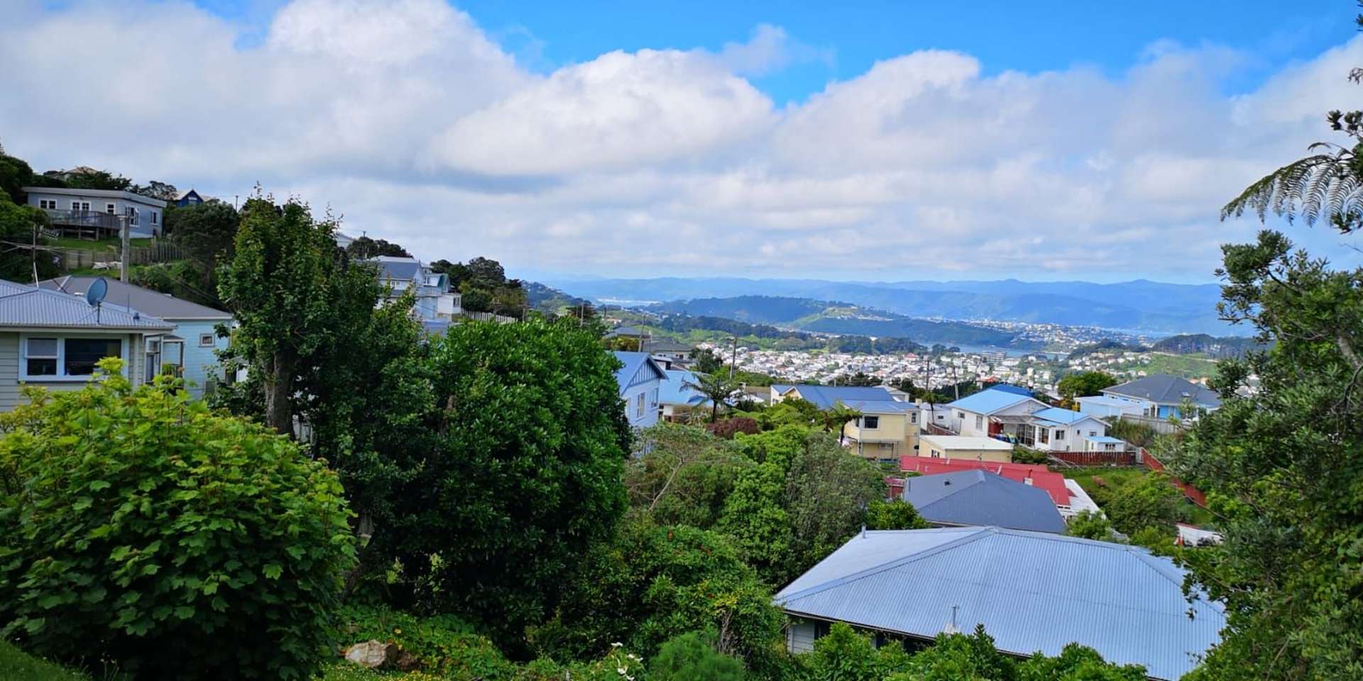 139B The Ridgeway Mornington_0