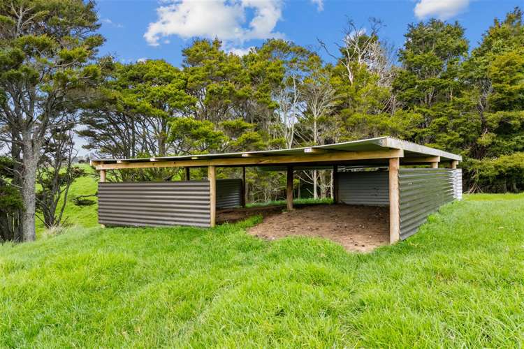 5150B Kaipara Coast Highway Wellsford_23