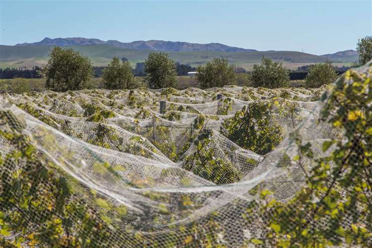 73 Mackenzies Road Waipara_15