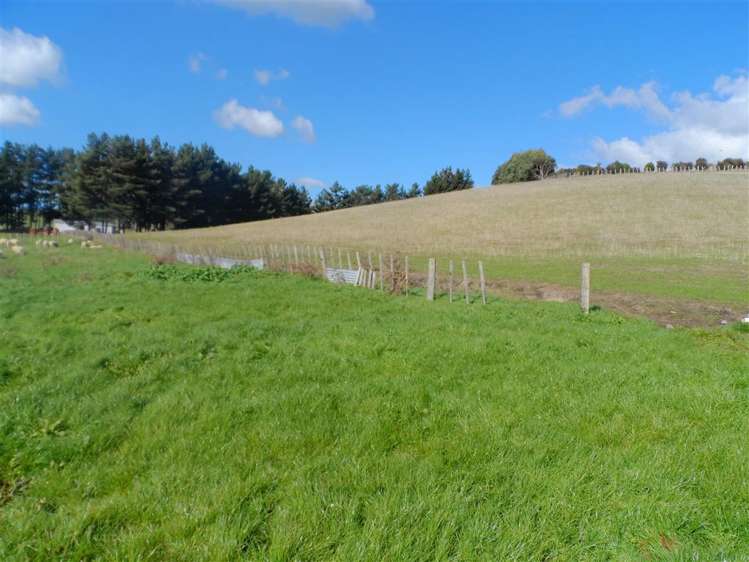 71 Wapiti Avenue Feilding_15