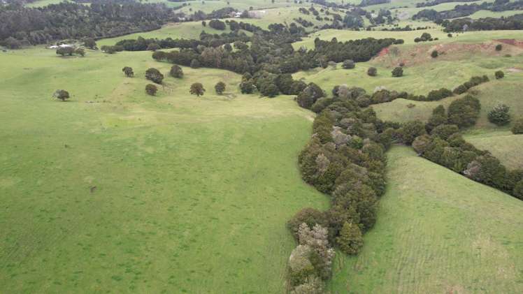 4283 State Highway 12 Dargaville Surrounds_14