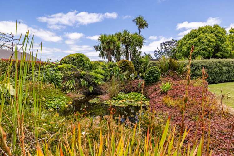 59a Riddell Road Kerikeri_11