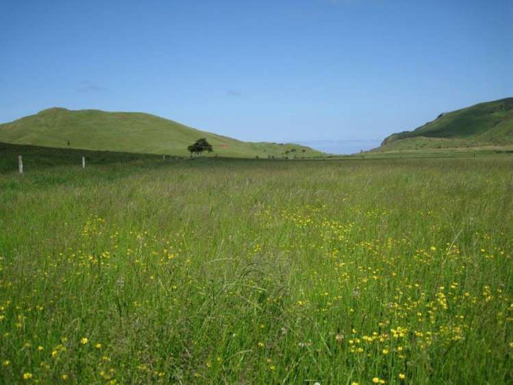 122 Kokonga West Road Waikaretu_8