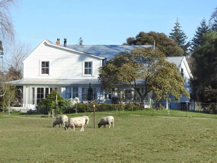 304 Wakefield-Kohatu Highway Wakefield_18