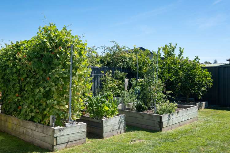 15 Lochhead Street Mahora_22