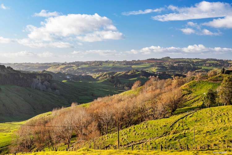 974 Wairamarama Onewhero Road Onewhero_19