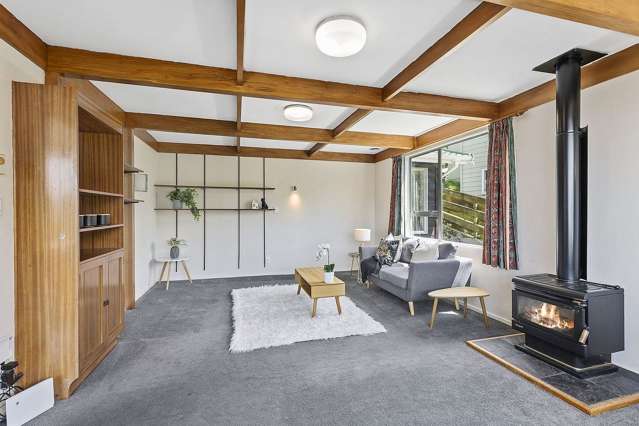 17 Malaghan Grove Johnsonville_4