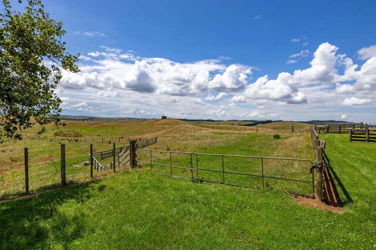 826 Ruakiwi Road Te Akau_18