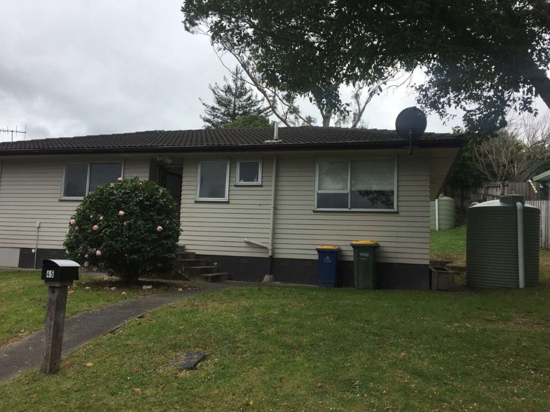 45 Sunline Avenue Massey_0