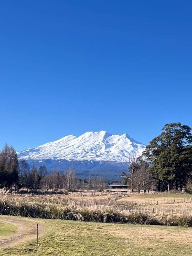 37A Marino Street Rangataua_26