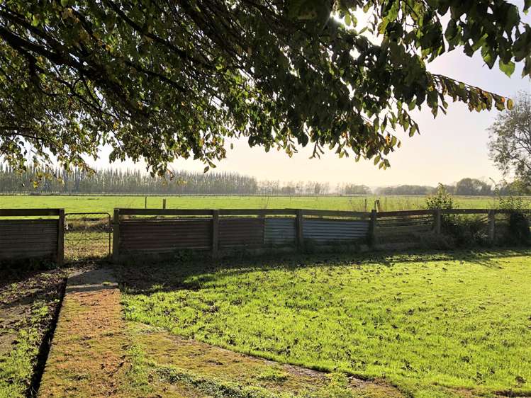 83 Anderson Road Stirling_14