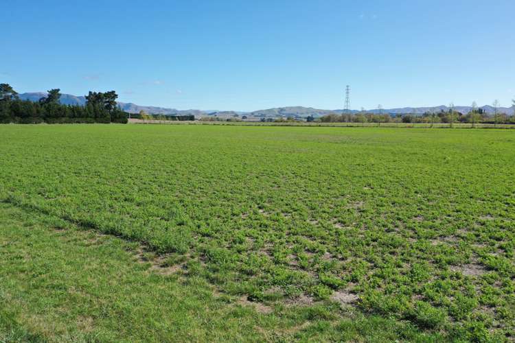 216 Reserve Road Balcairn_11