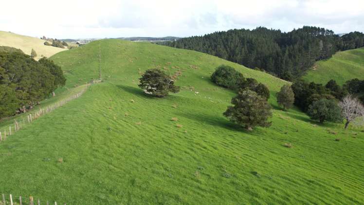 78 Otioro Road Topuni_16