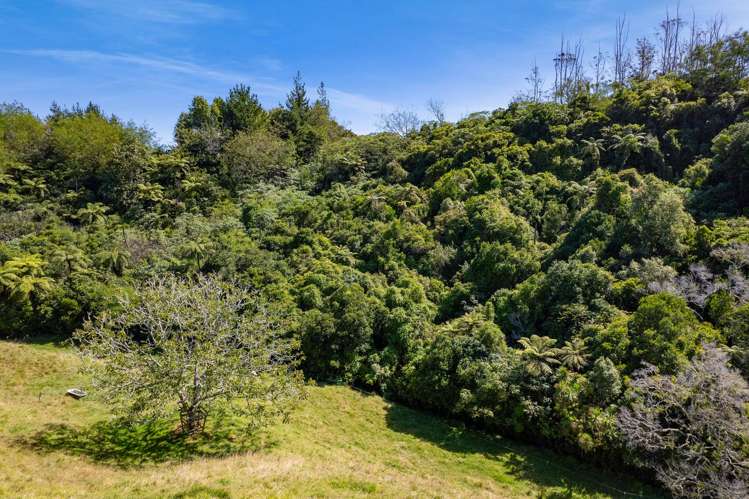 29 Whakapaki Street Urenui_24