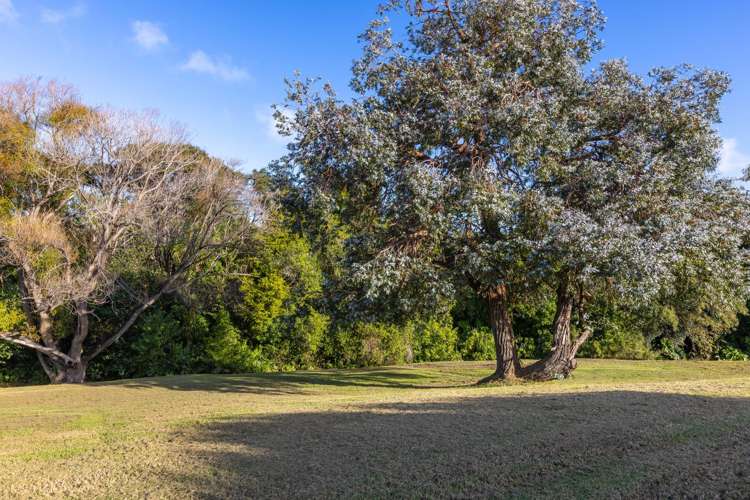 61 Hauraki Road Leigh_15