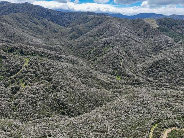 85696 State Highway 2 Mt Bruce_2