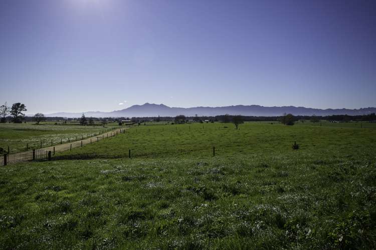 224 Maungakawa Road Ngarua_4