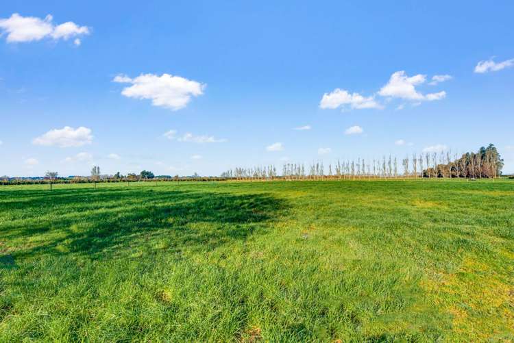 217 Wilsons Crossing Road Tussock Creek_21