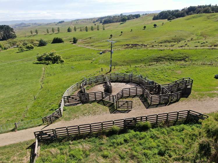 Paekaka Road Piopio_6