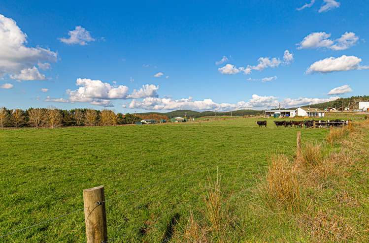 155 Finlayson Road Maramarua_16