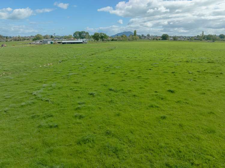 650 Cambridge Road Te Awamutu_17