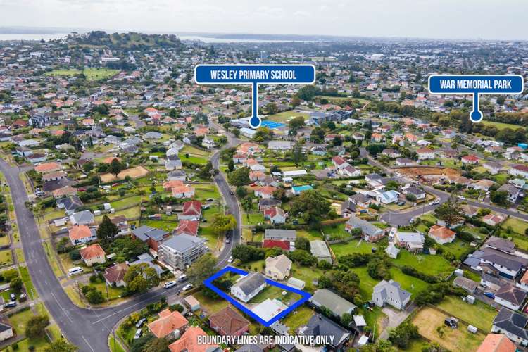 54 Potter Avenue Mt Roskill_11