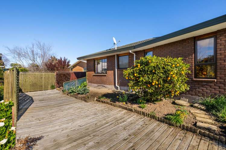 8A Murphys Road Springlands_16