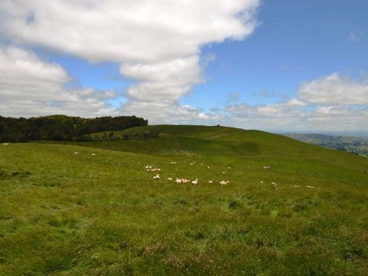 184 Grice Road Wharepuhunga_13