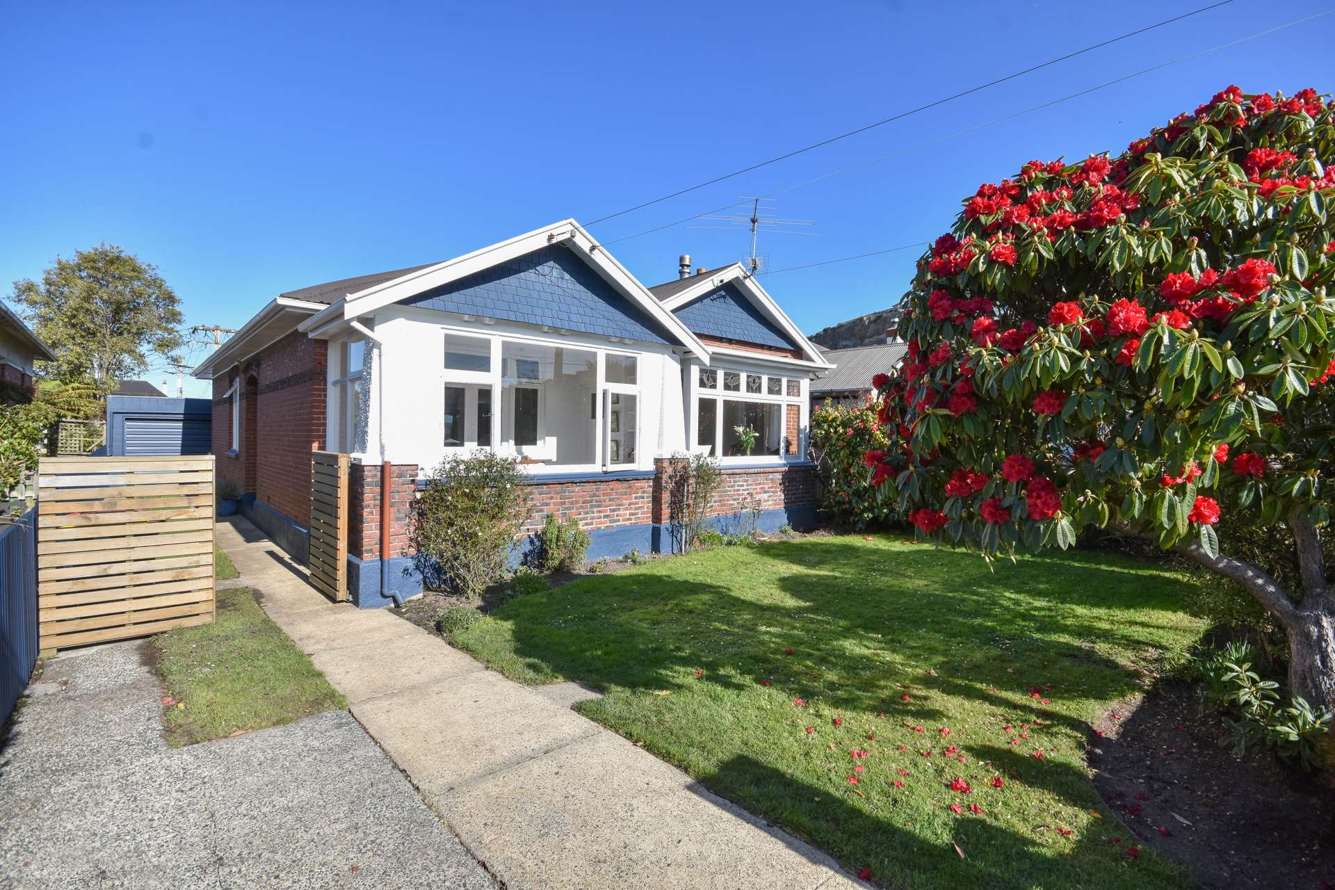 273 Macandrew Road Forbury_0