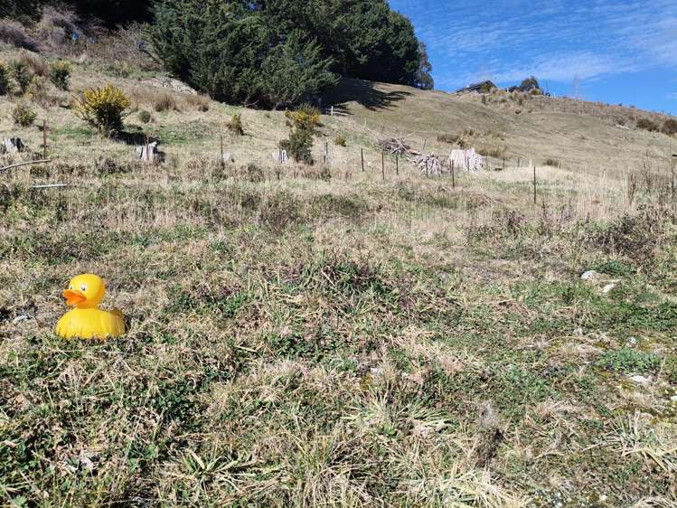 24 Campbelton Street Lawrence_8