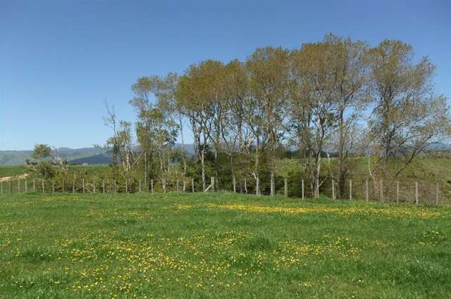 24 Ryland Park Levin_4