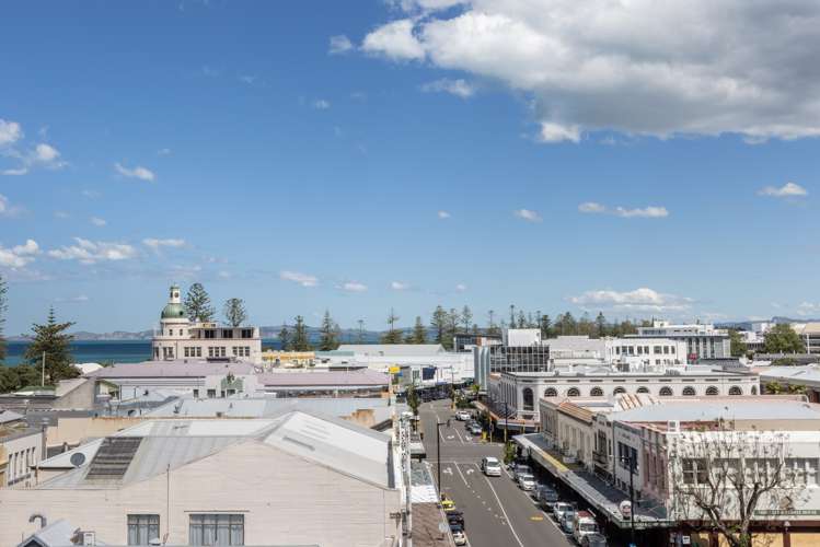 3f/3 Shakespeare Road Napier South_13