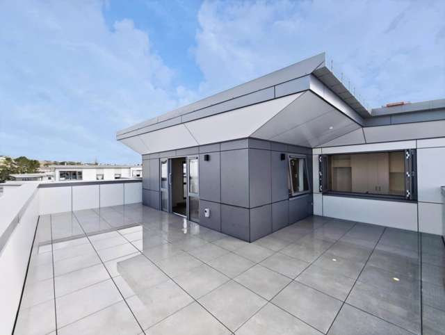 Fully Renovated PENTHOUSE Apartment  – Prime S...